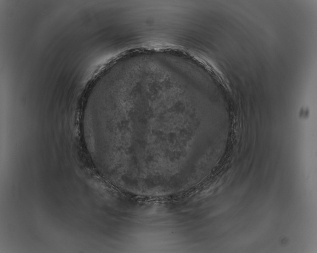 X0000094441016200711211451