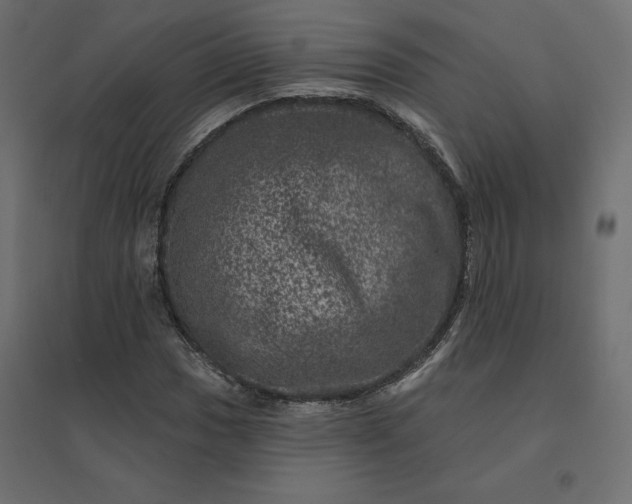 X0000094441017200711211451