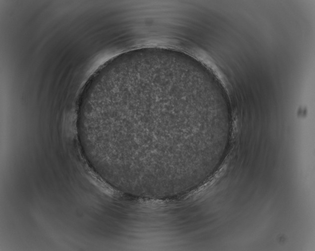 X0000094441019200711211451