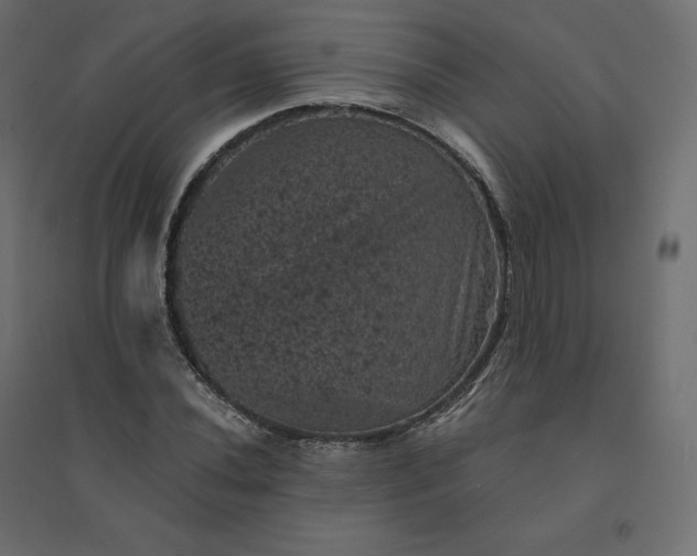 X0000094441020200711211451