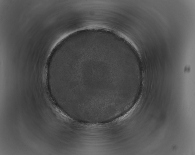 X0000094441021200711211451