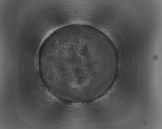 X0000094441022200711211451