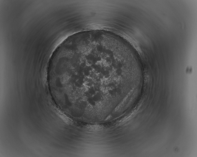 X0000094441023200711211451