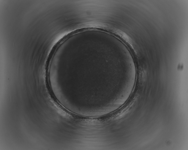 X0000094441024200711211451