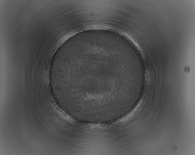 X0000094441025200711211451