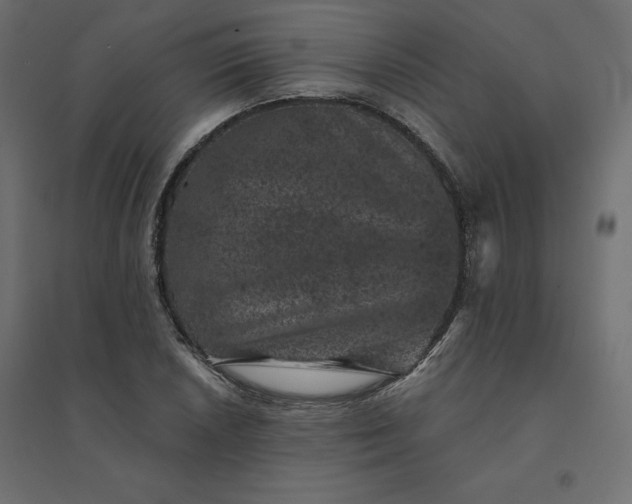 X0000094441026200711211451