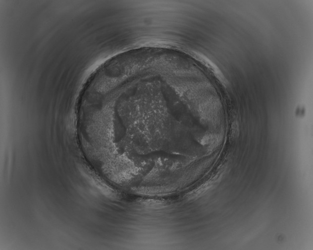 X0000094441027200711211451