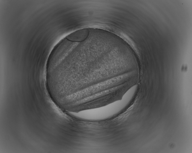 X0000094441028200711211451