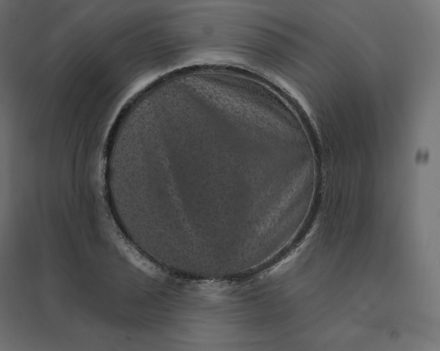 X0000094441029200711211451