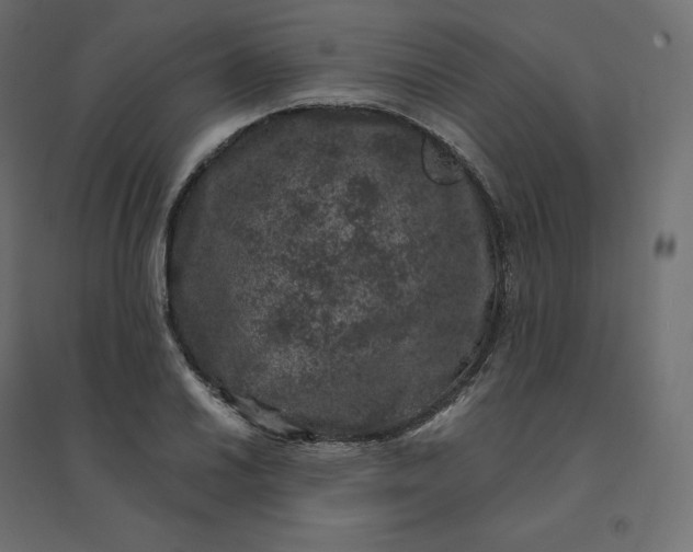 X0000094441030200711211451