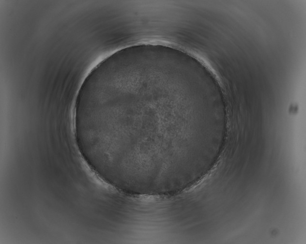 X0000094441032200711211451