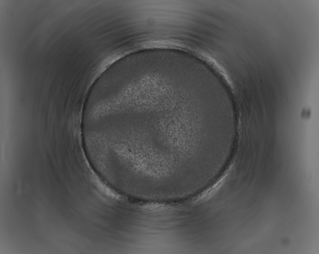 X0000094441033200711211451