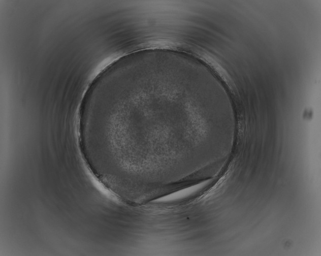 X0000094441034200711211451