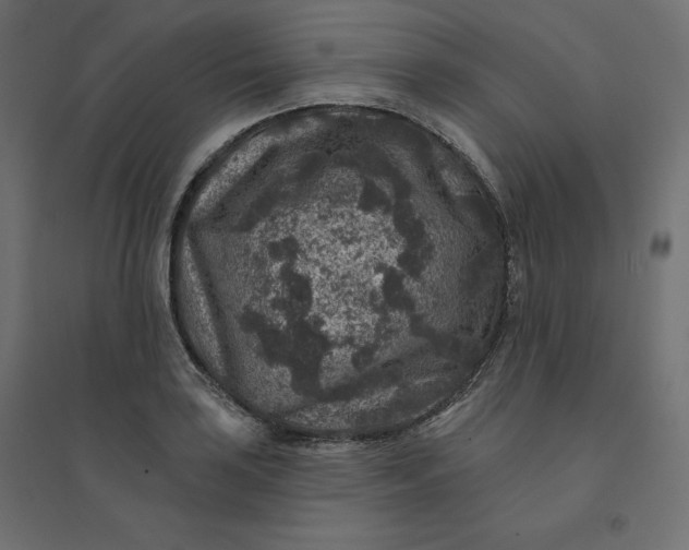 X0000094441035200711211451