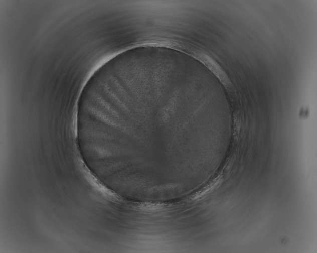 X0000094441036200711211451