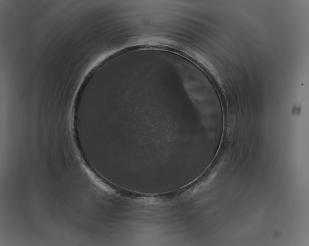 X0000094441037200711211451