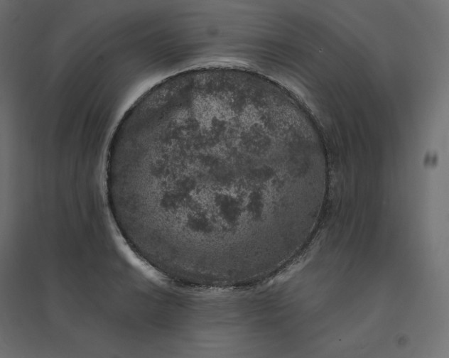 X0000094441038200711211451