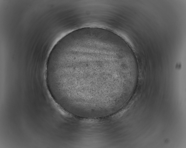 X0000094441040200711211451