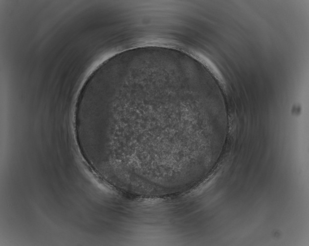 X0000094441043200711211451