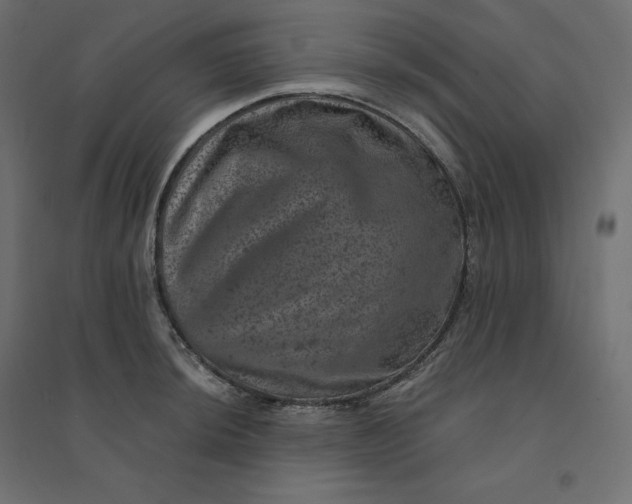 X0000094441044200711211451