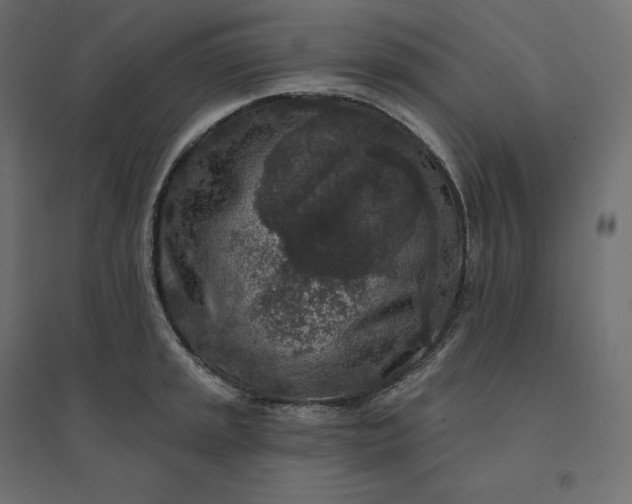 X0000094441045200711211451