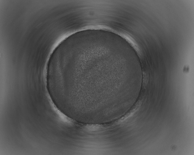 X0000094441046200711211451