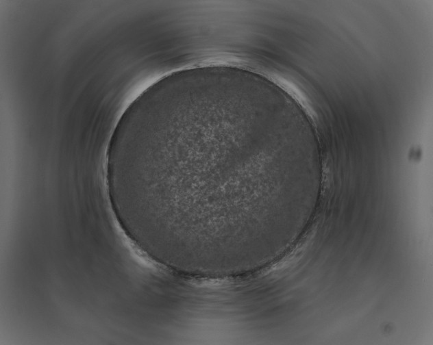 X0000094441047200711211451