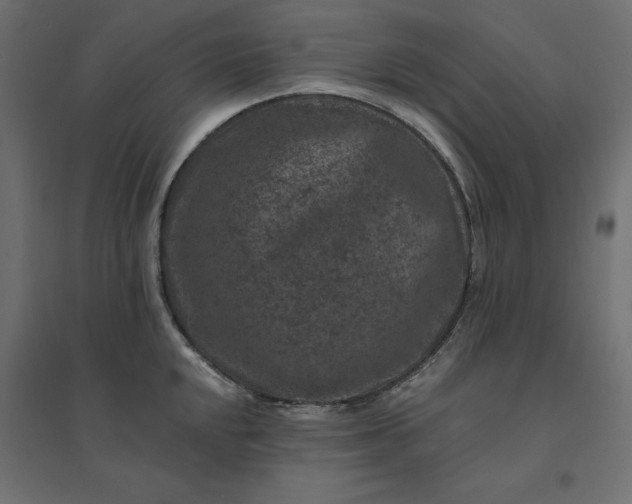 X0000094441048200711211451