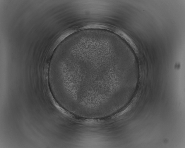 X0000094441049200711211451