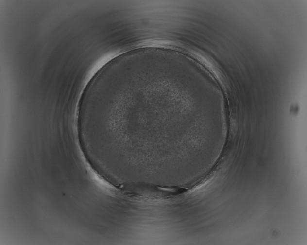 X0000094441050200711211451