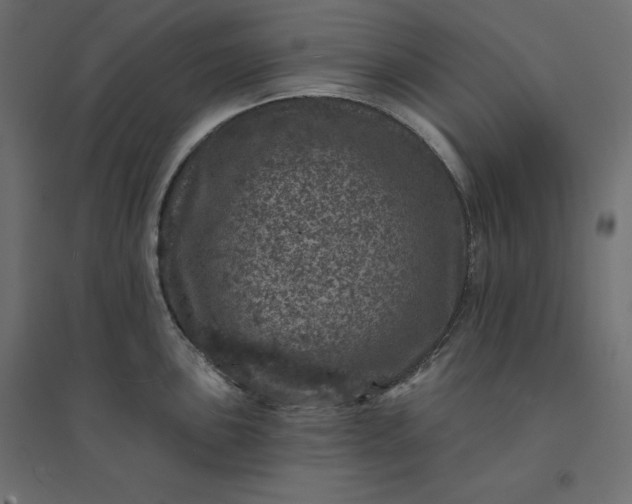 X0000094441051200711211451