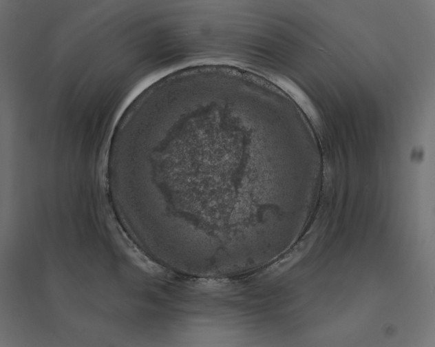 X0000094441052200711211451