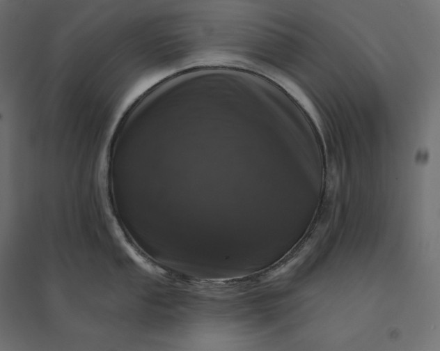 X0000094441053200711211451