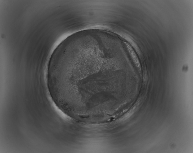 X0000094441054200711211451