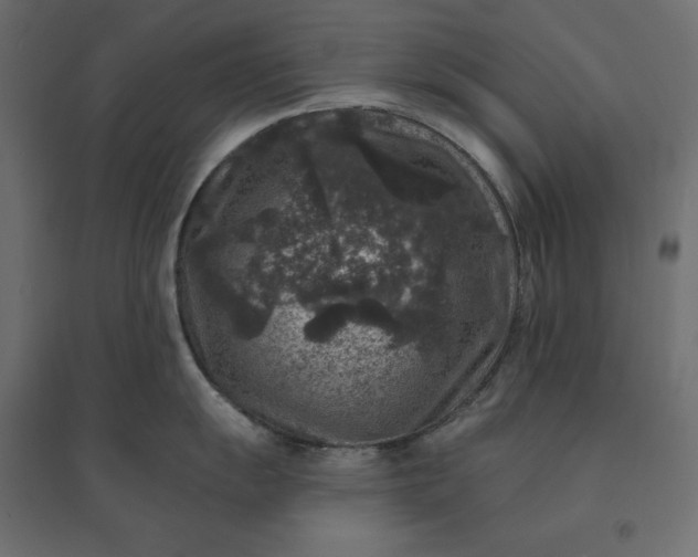 X0000094441055200711211451