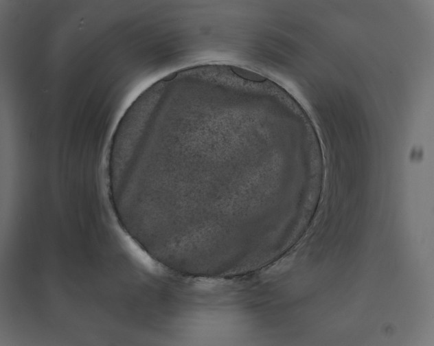 X0000094441056200711211451