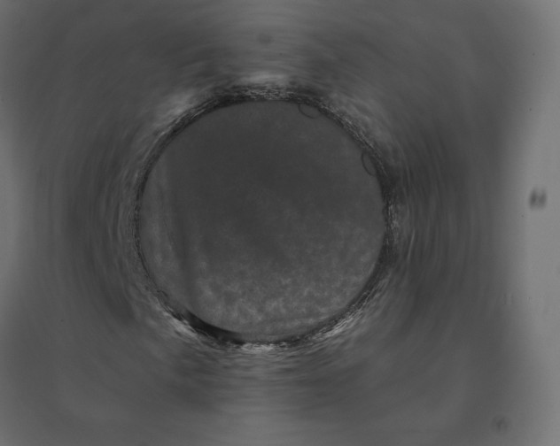 X0000094441057200711211451