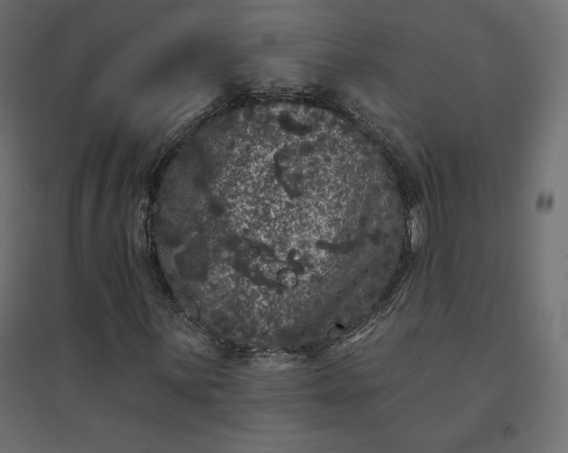 X0000094441059200711211451