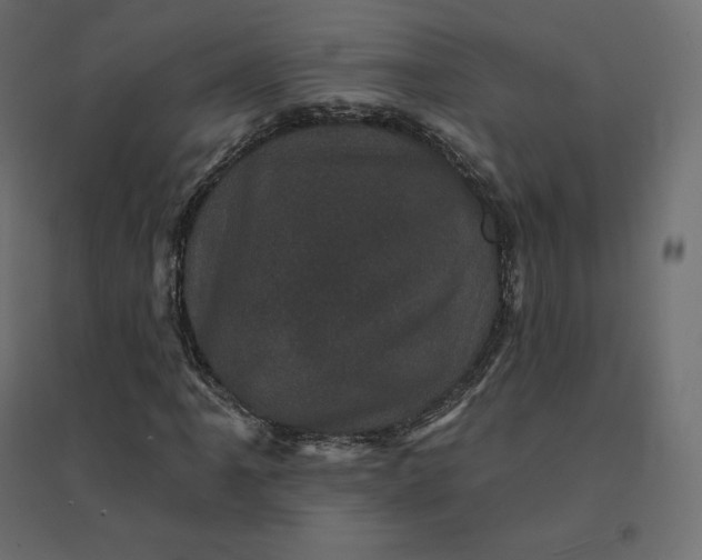 X0000094441061200711211451