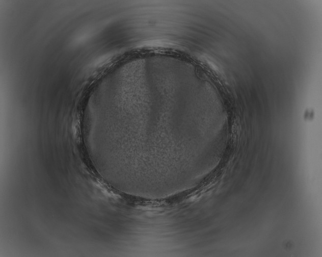 X0000094441062200711211451