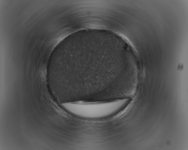 X0000094441065200711211451