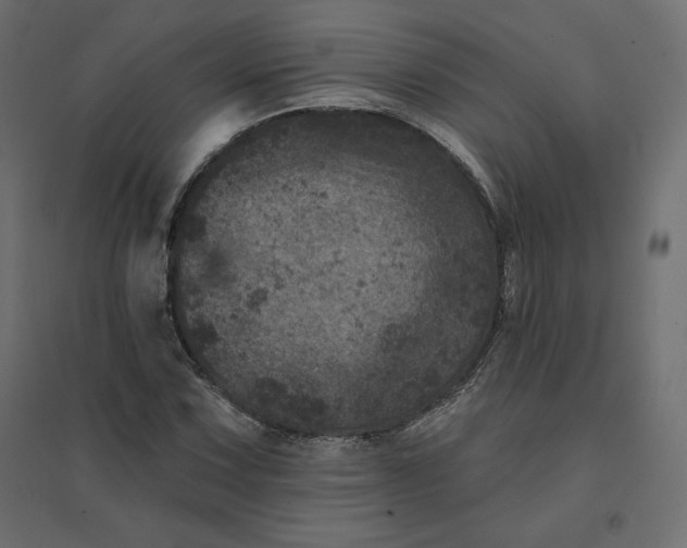 X0000094441067200711211451