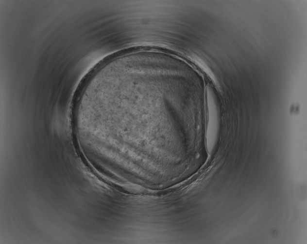 X0000094441068200711211451