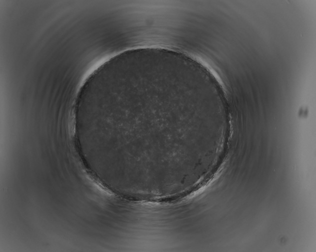 X0000094441069200711211451