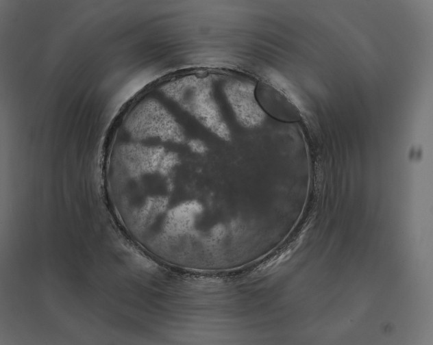 X0000094441071200711211451