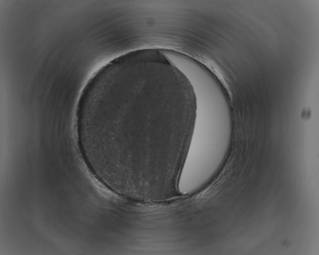 X0000094441072200711211451