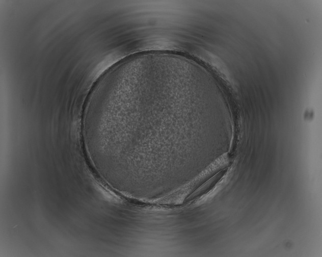 X0000094441073200711211451