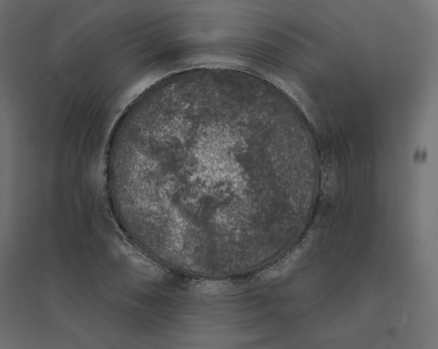 X0000094441074200711211451