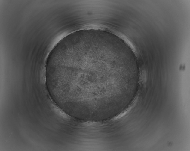 X0000094441075200711211451