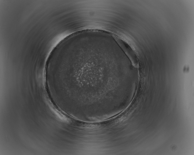 X0000094441076200711211450